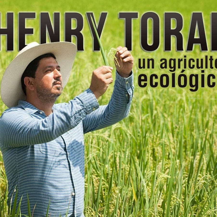 cropped-testimonio-1.jpg